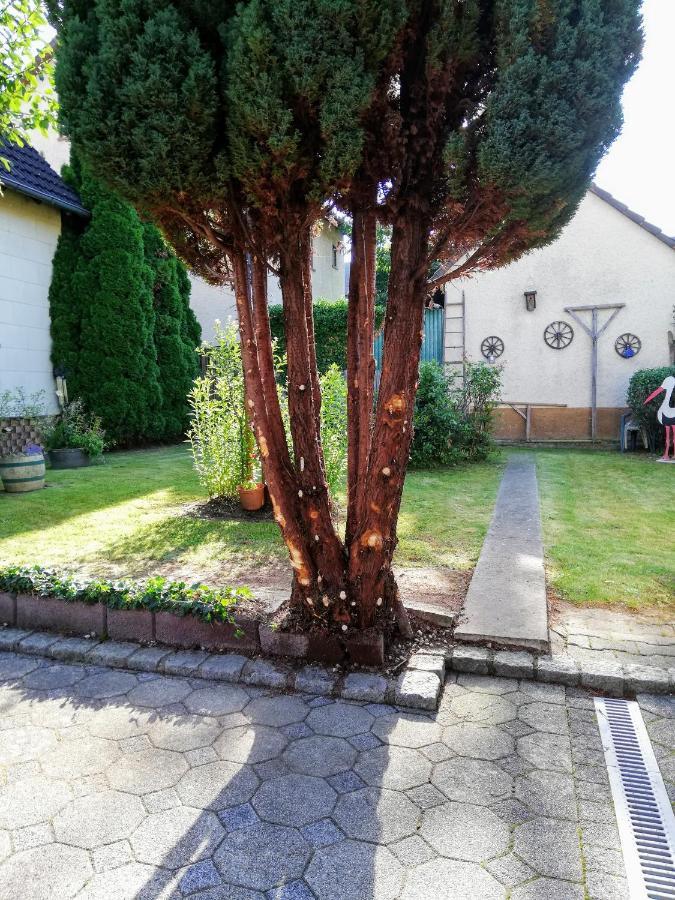 Ferienappartement Obrigheim Mosbach  Buitenkant foto