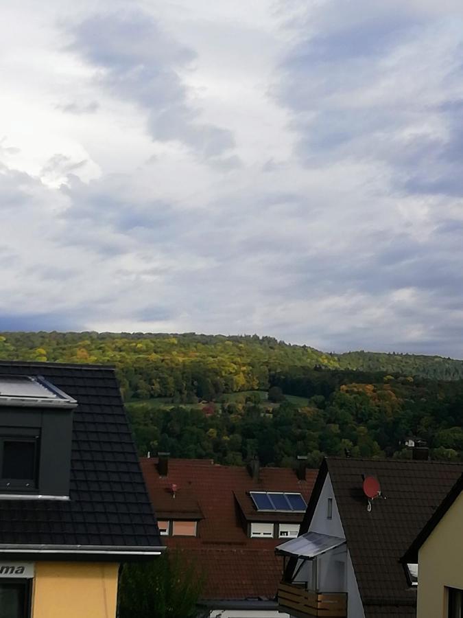 Ferienappartement Obrigheim Mosbach  Buitenkant foto