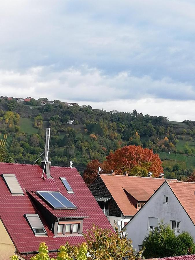 Ferienappartement Obrigheim Mosbach  Buitenkant foto