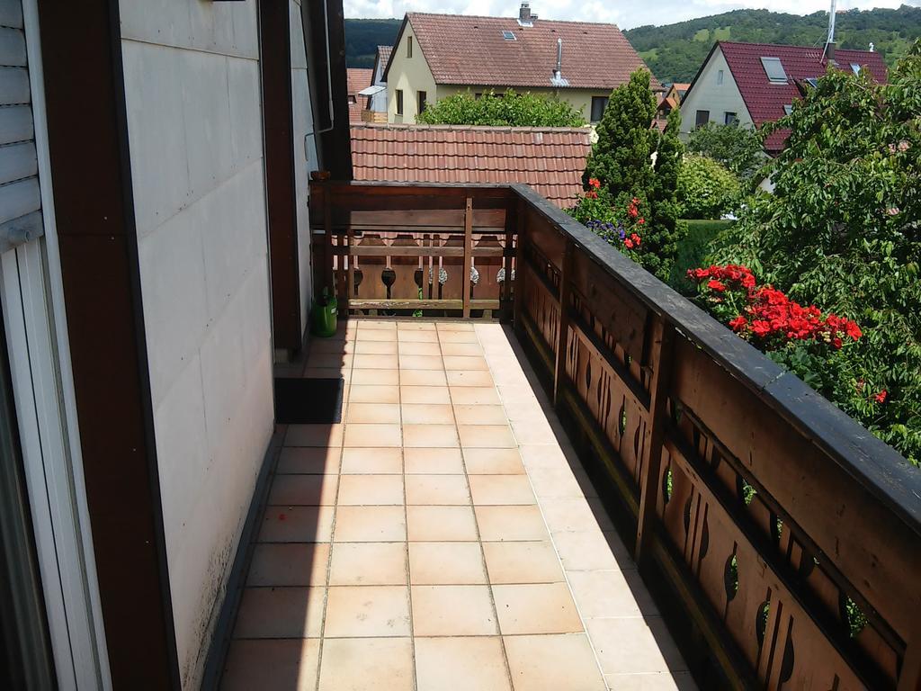 Ferienappartement Obrigheim Mosbach  Buitenkant foto